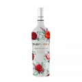 VH CHI PASO DE LOS ANDES 750ML MOSCATO TINTO