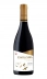 VH CHI PASO DE LOS ANDES 750ML RESERVA PINOT NOIR